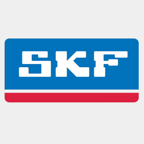 SKF bearing