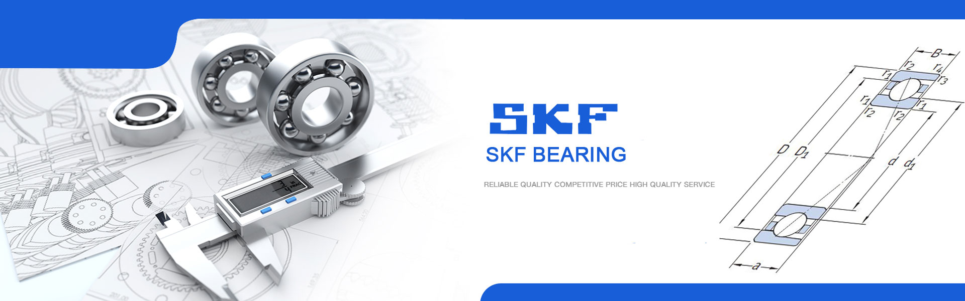 SKF Bearing