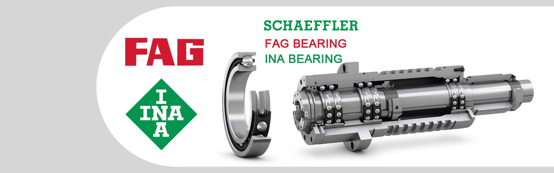 FAG Bearing